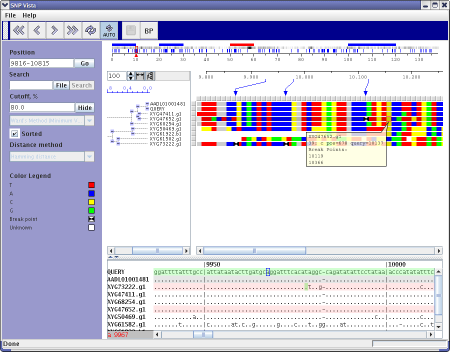 Program Window