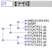 Data Tree